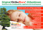Preview: OrthoDorn® Zirbenkissen
