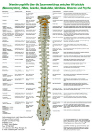 Orientierungshilfe an der Wirbelsäule