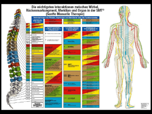 Sanfte Manuelle Therapie - SMT®