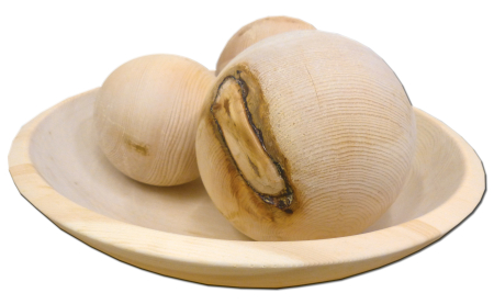 OrthoDorn® Zirben-Kugel
